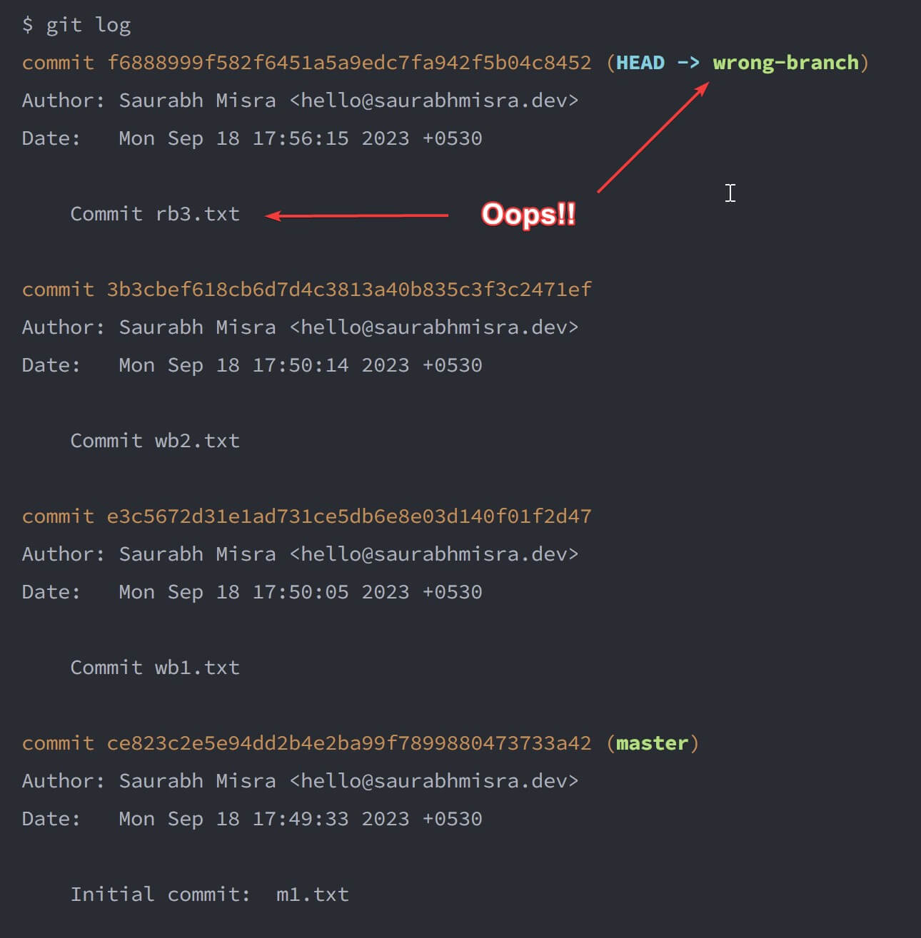 screenshot of the terminal window showing the output of the git log command on the wrong-branch after accidentally committing a file that was meant for the right-branch.