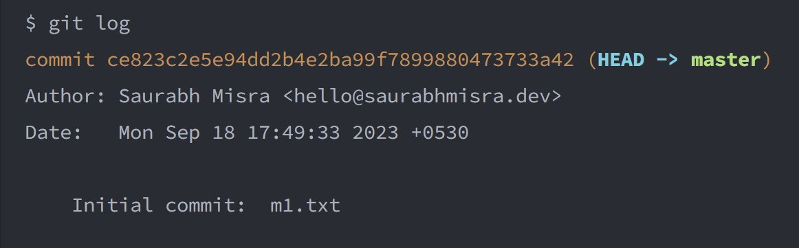 screenshot of the terminal window showing the output of the git log command and the initial state of the master branch that has a single commit.