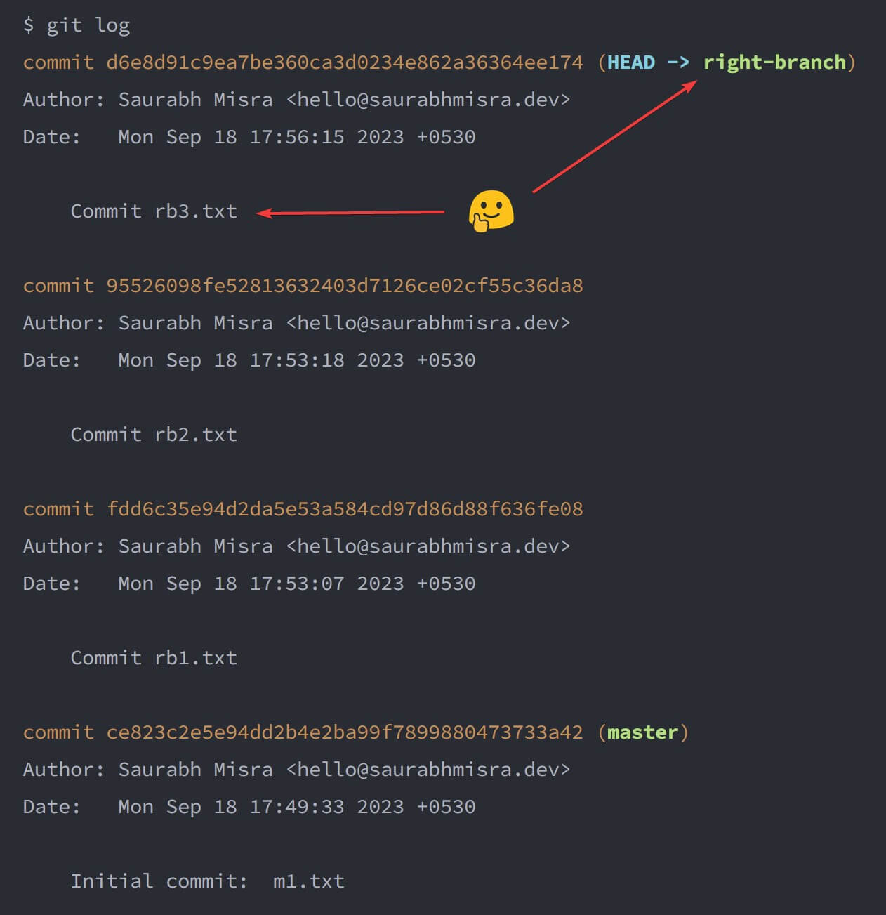 screenshot of the terminal window showing the output of the git log command after performing a cherry-pick from the wrong-branch to the right-branch