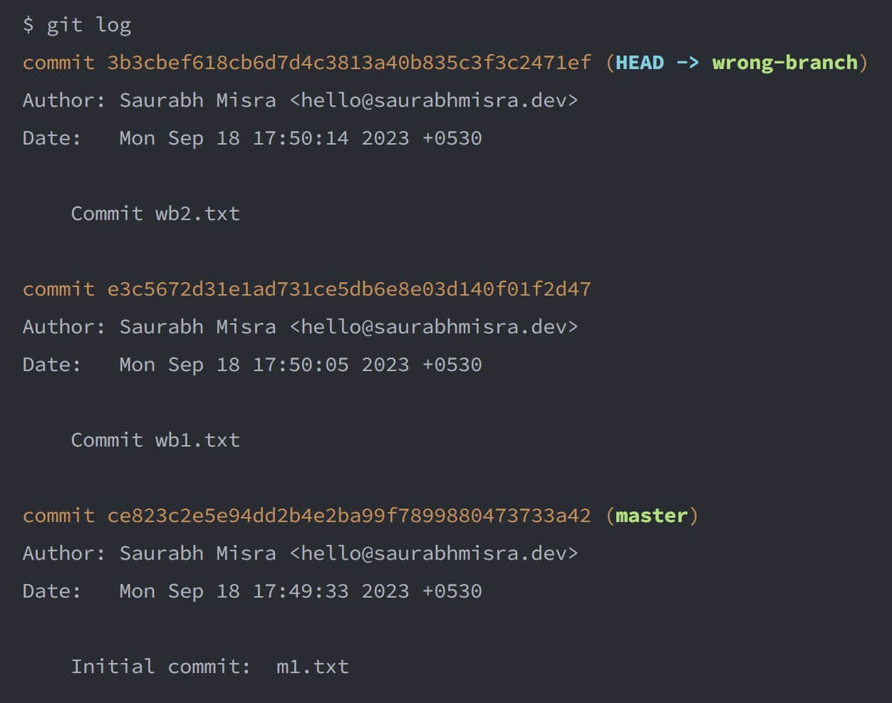 screenshot of the terminal window showing the output of the git log command and the initial state of the wrong-branch that has two commits.