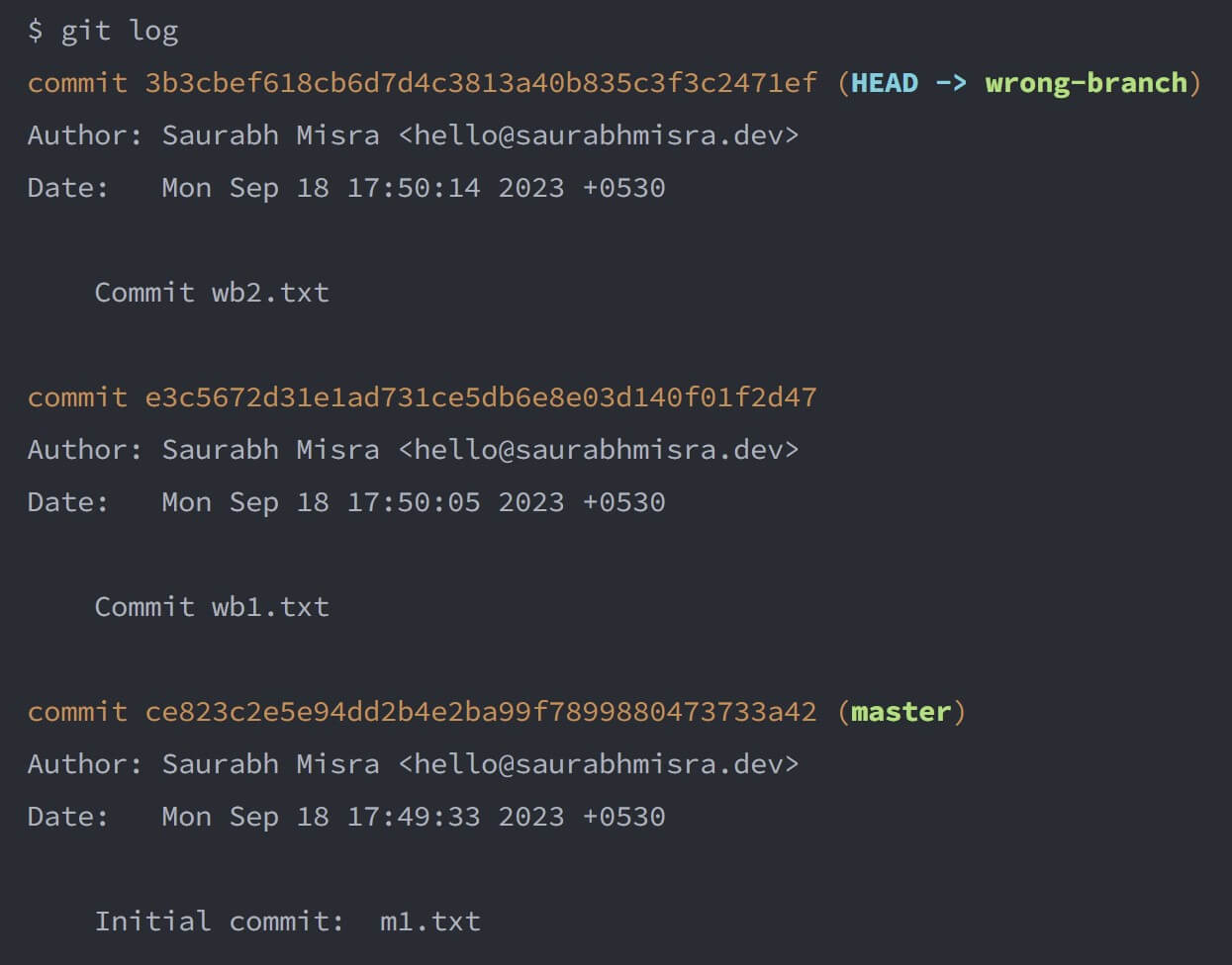 screenshot of the terminal window showing the output of the git log command after performing a mixed reset on the wrong-branch.