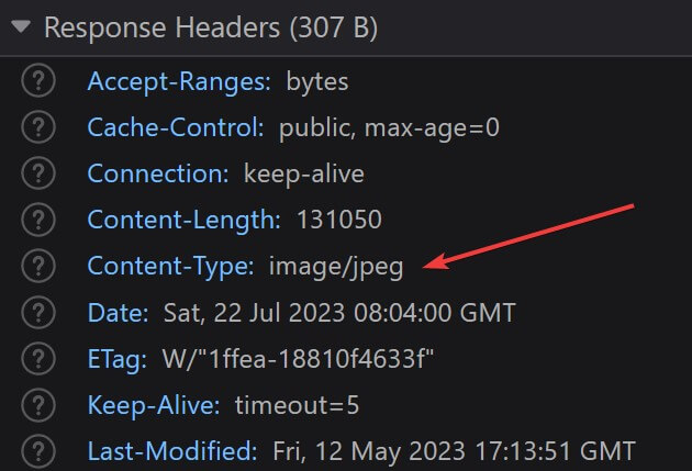 Browser Dev Tools screenshot showing Content-Type set to image/jpeg in Response headers