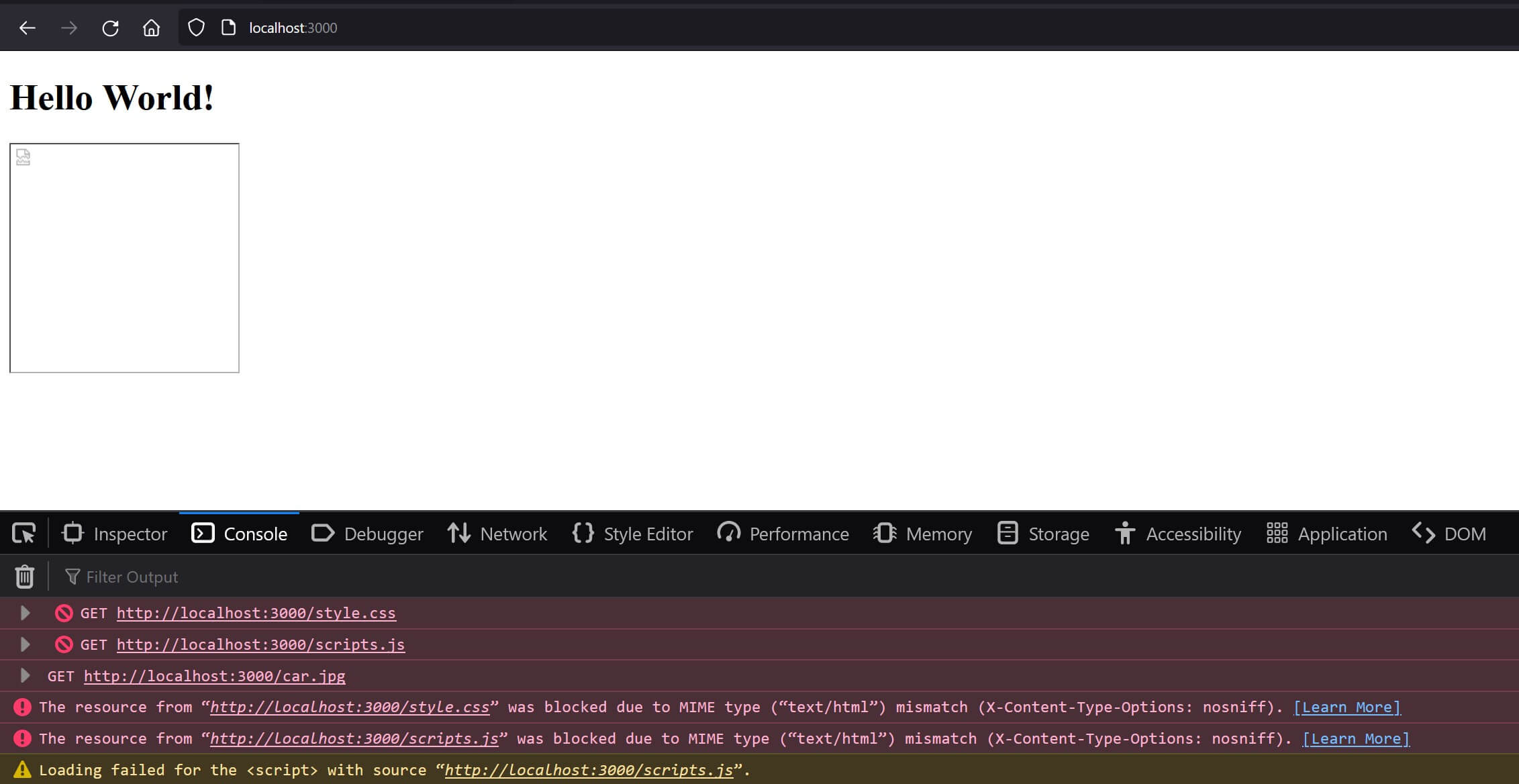 screenshot showing errors while loading static assets in browser console
